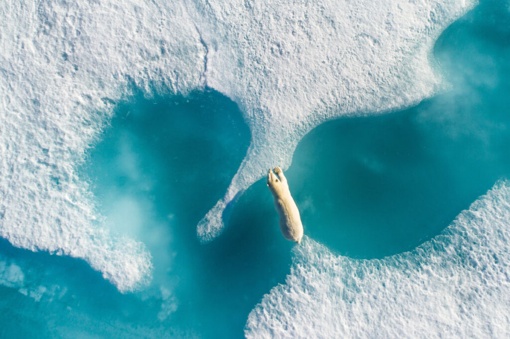 Grand Prize - 2017 SkyPixel Photo of the Year “Above the Polar Bear”